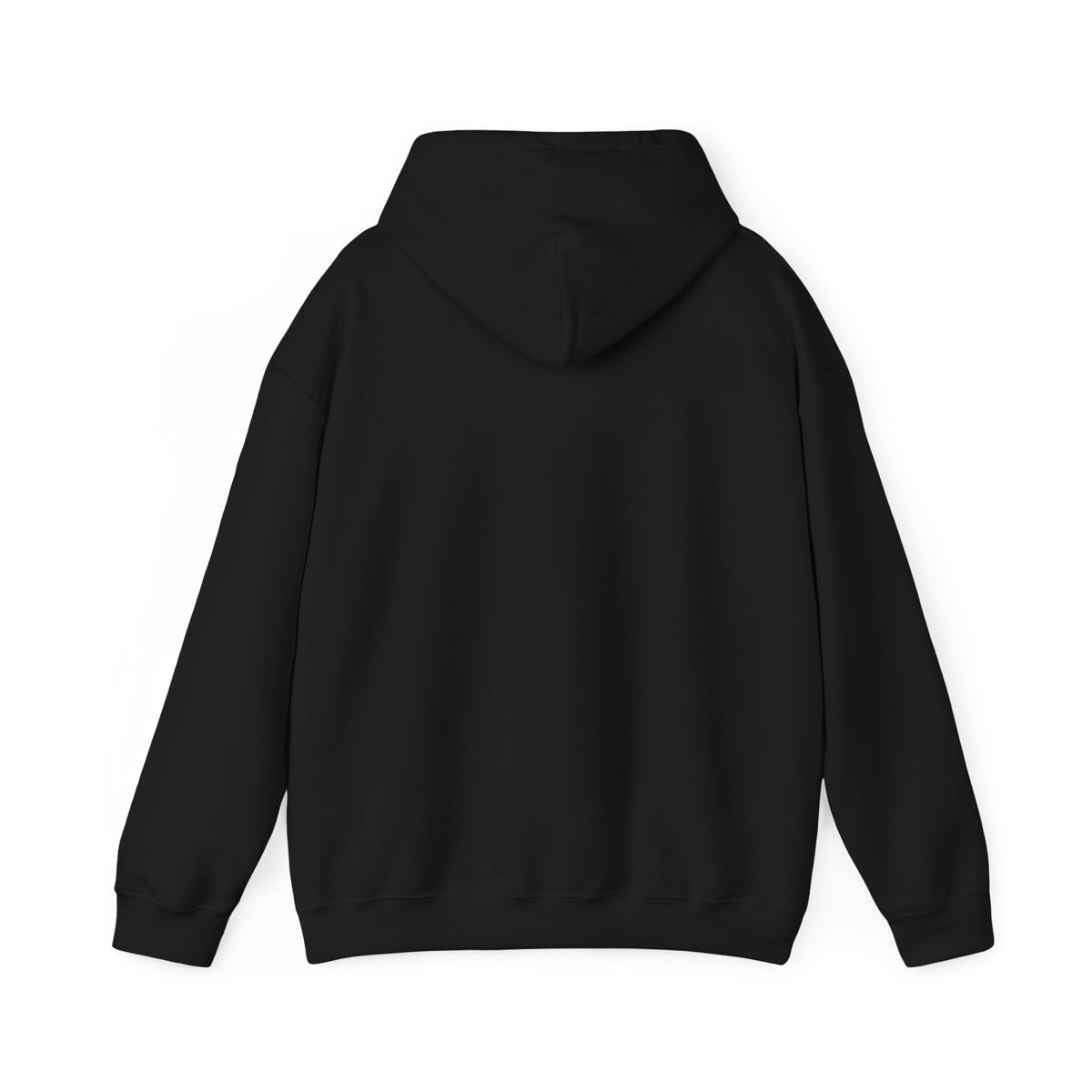 Back view of black hoodie with hood up