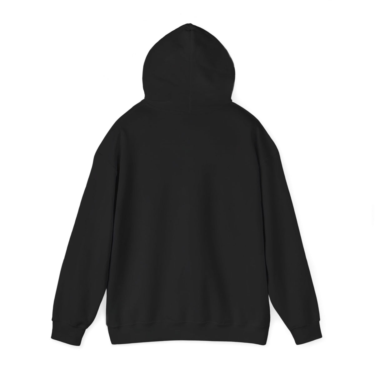 Back view of black hoodie with hood down